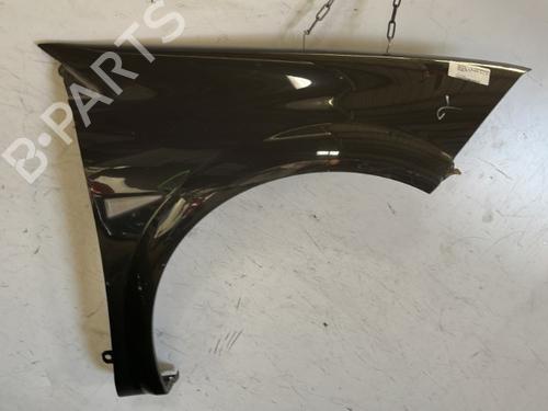 Used Right front fenders RENAULT MEGANE II (BM0/1_, CM0/1_) 1.5 dCi (BM1F, CM1F) (86 hp) 22096957