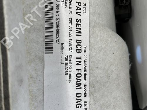 Tetto interno RENAULT SCENIC E-TECH PHASE I EV87 | BP20492756I12 