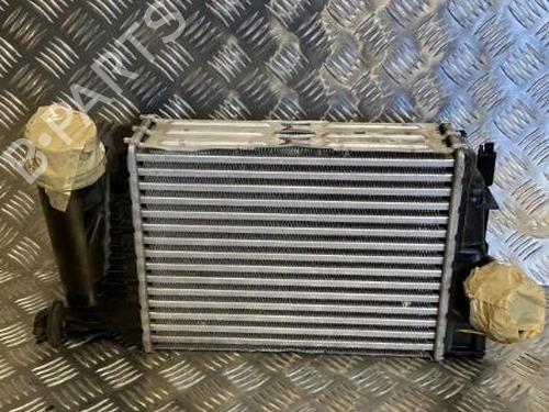 Intercooler RENAULT KADJAR (HA_, HL_) 1.2 TCe 130 (HLMR) | BP22096406M30