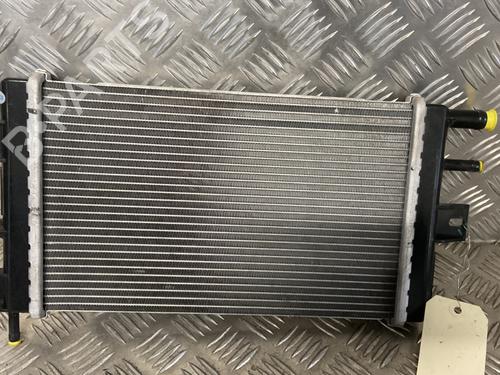 water-radiator-dacia-spring-2020-30052506 main image