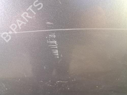 Right front door NISSAN X-TRAIL I (T30) 2.2 Di 4x4 | BP29530376C3 