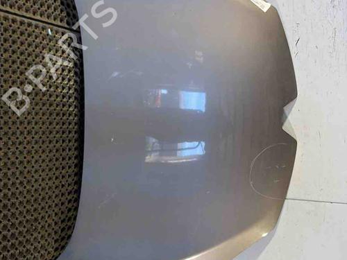 hood-renault-megane-iii-hatchback-bz01_-b3_-2008-36405920 main image