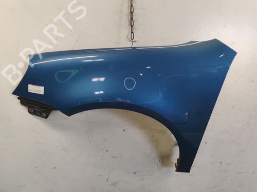 Left front fenders VW GOLF V (1K1) 2.0 TDI | BP28193861C41 