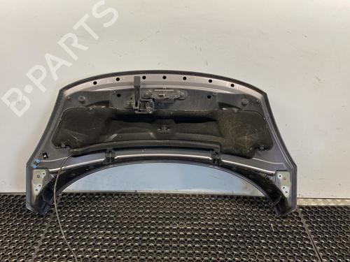 Used Hood RENAULT SCÉNIC III (JZ0/1_) 1.5 dCi (106 hp) 20345393