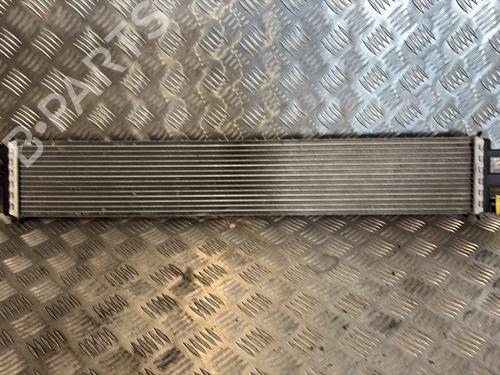 Used Water radiator RENAULT MASTER III Van (FV) 2.3 dCi 135 FWD (FV0N, FV08, FV06, FV00, FV1S) (136 hp) 31261676