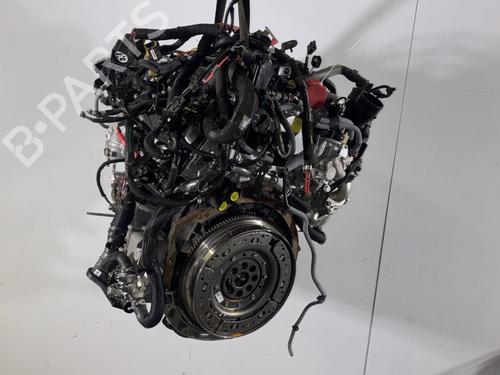 Engine RENAULT TRAFIC III Van (FG_)  | BP31707658M1 