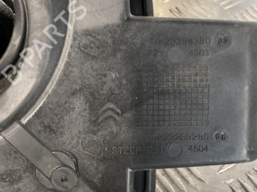 Fuel flap PEUGEOT 208 II (UB_, UP_, UW_, UJ_) 1.5 BlueHDI 100 | BP22095337C131 