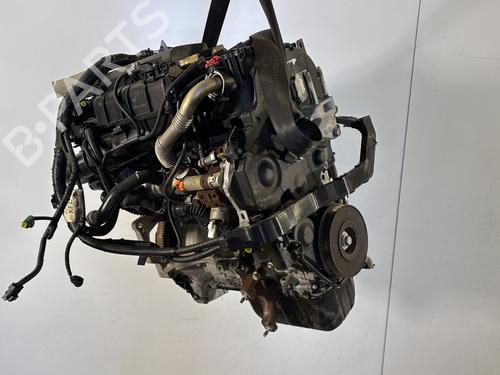 Engine FORD FIESTA VI (CB1, CCN) 1.4 TDCi | BP23789517M1 