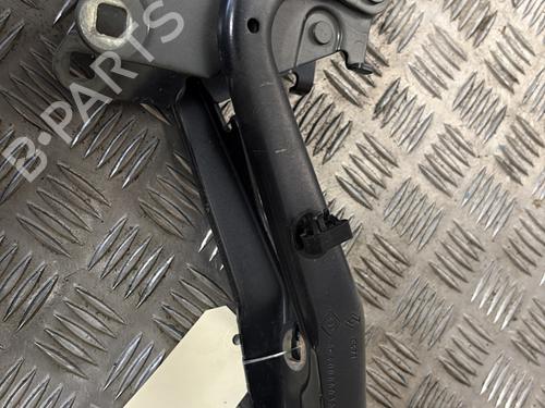 Hinge/Door check strap RENAULT MEGANE III Hatchback (BZ0/1_, B3_) 1.5 dCi (BZ09, BZ0D, BZ1W, BZ29, BZ14) | BP29737633C146 