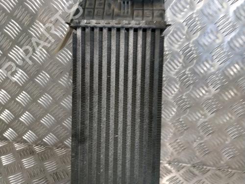 Used Intercooler PEUGEOT 207 (WA_, WC_) 1.6 HDi (92 hp) 30180570