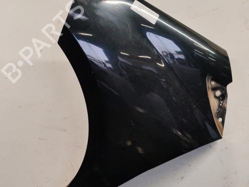Left front fenders MERCEDES-BENZ A-CLASS (W169) A 180 CDI (169.007, 169.307) | BP23789744C41 