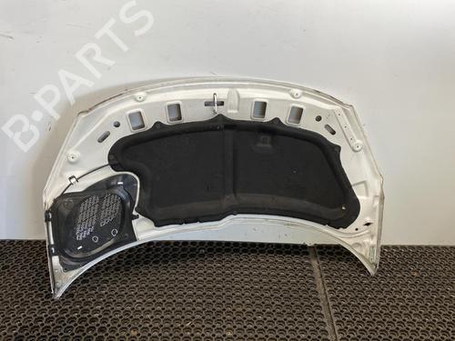 Used Hood Hood PEUGEOT 206+ (2L_, 2M_) 1.4 HDi eco 70 (68 hp) 20348540 20348540