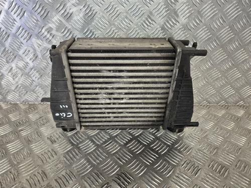 Intercooler Intercooler RENAULT CLIO III (BR0/1, CR0/1) 1.5 dCi (88 hp) 35785987 35785987
