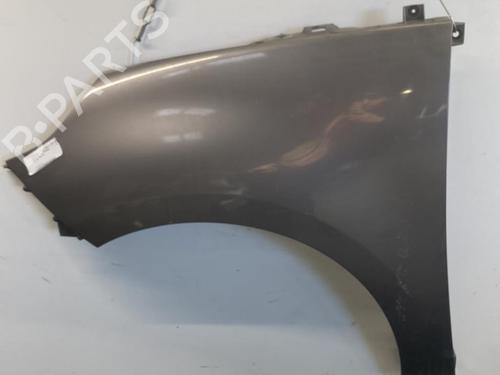 Left front fenders RENAULT SCÉNIC III (JZ0/1_) 1.9 dCi (JZ0J, JZ1J, JZ1K, JZ1S) | BP20345351C41 