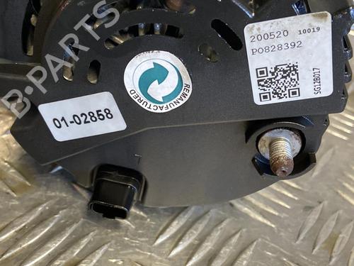 Generator NISSAN PRIMASTAR Van (X83) 1.9 dCi 100 (100 hp) 22095265