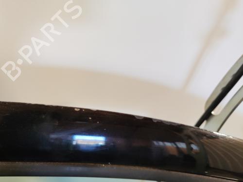 Right front door RENAULT CLIO III (BR0/1, CR0/1) 1.5 dCi (BR17, CR17) | BP21519758C3 