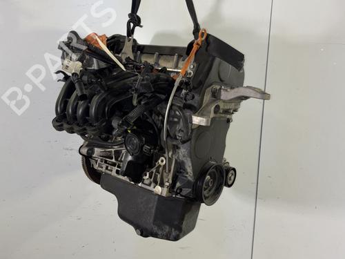 Used Engine SEAT IBIZA IV (6J5, 6P1) 1.4 (85 hp) 29402882