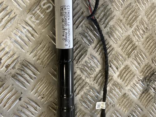 tailgate-lift-support-citroen-c4-picasso-ii-2013-33944938 main image