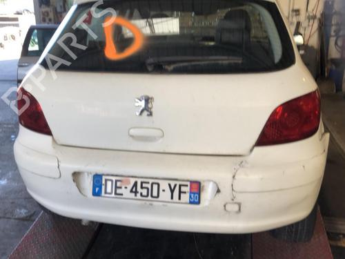 Left front door PEUGEOT 307 (3A/C) 2.0 HDi 90 | BP20347219C2 