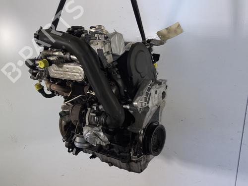 Motor VW GOLF V (1K1) 1.9 TDI | BP31038879M1 