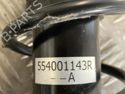 Left rear shock absorber RENAULT TWIZY (MAM_) 80 | BP22095029M18 - Image 2