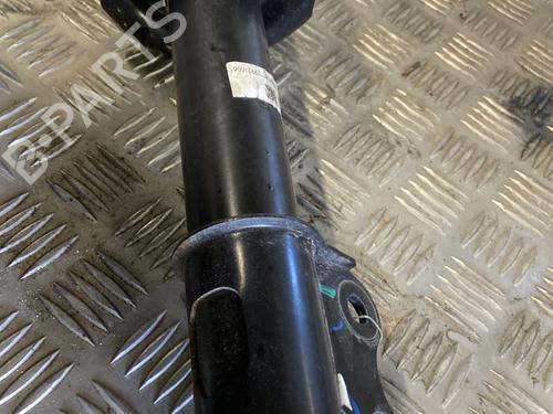 left-front-shock-absorber-dacia-spring-2020-30052085 main image