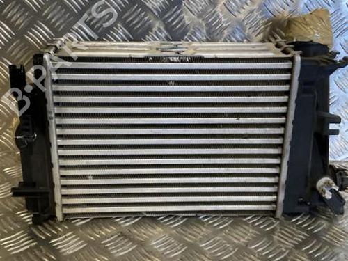 Intercooler RENAULT KADJAR (HA_, HL_) 1.2 TCe 130 (HLMR) | BP22096406M30