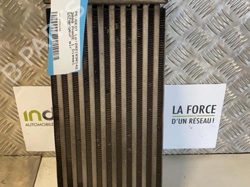 Intercooler PEUGEOT 3008 I MPV (0U_) 1.6 HDi | BP22093993M30 