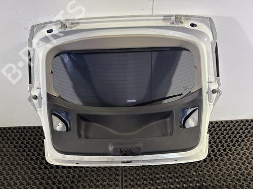 Tailgate RENAULT MEGANE III Hatchback (BZ0/1_, B3_) 1.5 dCi (BZ0C) | BP30100338C6