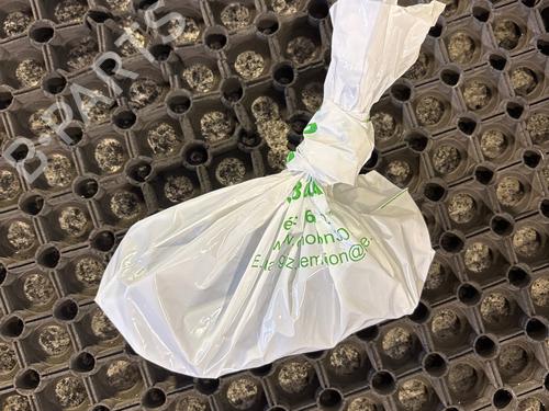 Rear seat DACIA BIGSTER 1.8 FHEV (RYN7) | BP37735062C17 - Image 6