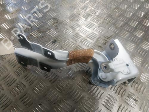 hingedoor-check-strap-renault-scenic-e-tech-phase-i-2023-32191789 main image