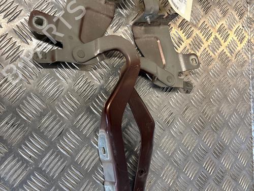 hingedoor-check-strap-renault-clio-iv-bh_-2012-2013-2014-2015-2016-2017-2018-2019-2020-2021-34005029 main image