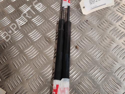 Used Tailgate lift support RENAULT MEGANE III Hatchback (BZ0/1_, B3_) 1.9 dCi (BZ0N, BZ0J) (131 hp) 24407728