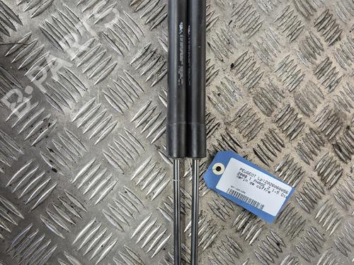 tailgate-lift-support-peugeot-2008-i-cu_-2013-39077288 main image