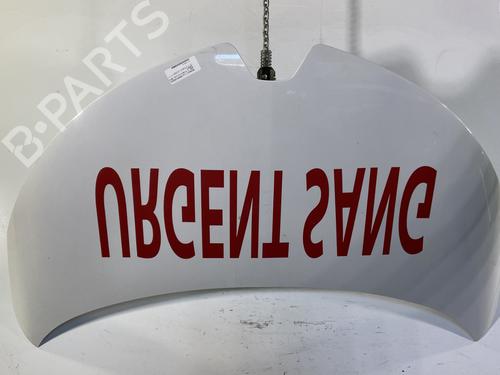 Motorhjelm RENAULT ZOE (BFM_) ZOE (92 hp) 31172032