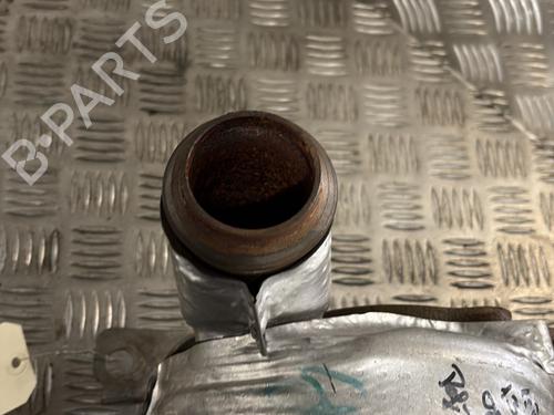 Catalyst RENAULT KANGOO III Box Body/MPV  | BP23851289M10 