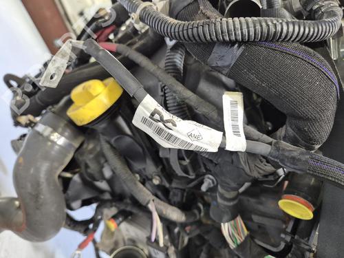 Used Engine Engine 22095838 22095838
