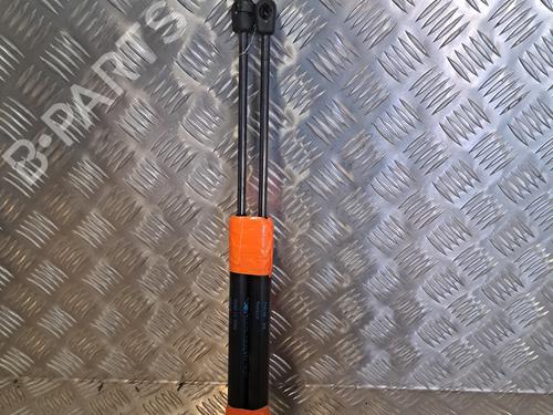 Used Tailgate lift support RENAULT MEGANE III Hatchback (BZ0/1_, B3_) 1.5 dCi (106 hp) 24800047