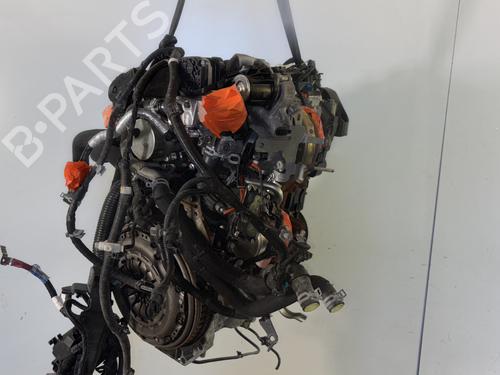 Engine RENAULT CLIO V (B7_) 1.5 Blue dCi 85 (B7AG) | BP29837917M1