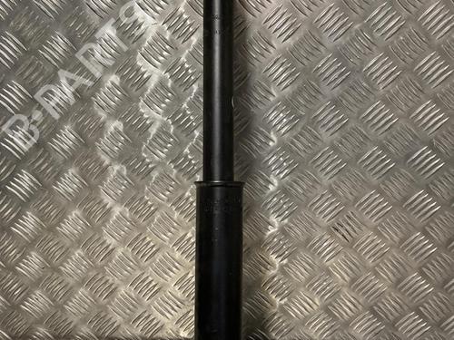 Used Left rear shock absorber RENAULT CAPTUR II (HF_) TCe 160 (HFN1) (158 hp) 22094888