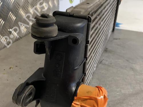 Intercooler RENAULT TRAFIC II Van (FL) 2.0 dCi 115 (FL01, FL0U) | BP22094162M30 