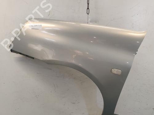 Used Left front fenders RENAULT CLIO II (BB_, CB_) 1.5 dCi (B/CB07) (65 hp) 24541149