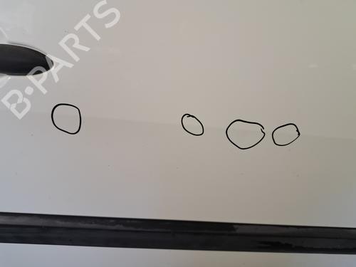 Right front door RENAULT MEGANE II (BM0/1_, CM0/1_) 1.5 dCi (BM1E, CM1E) | BP29188125C3 