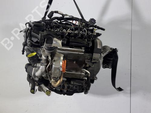 Used Engine SKODA FABIA II (542) 1.6 TDI (75 hp) 31610298