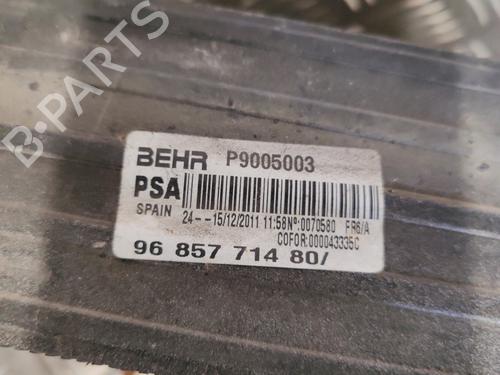Used Intercooler Intercooler PEUGEOT 207 SW (WK_) 1.6 HDi (92 hp) 25219704 25219704