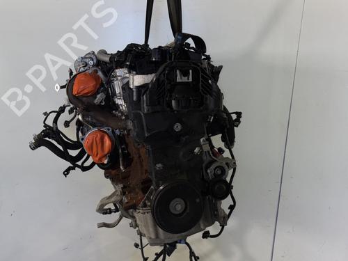 Engine RENAULT CLIO V (B7_) 1.5 Blue dCi 85 (B7AG) | BP29837917M1
