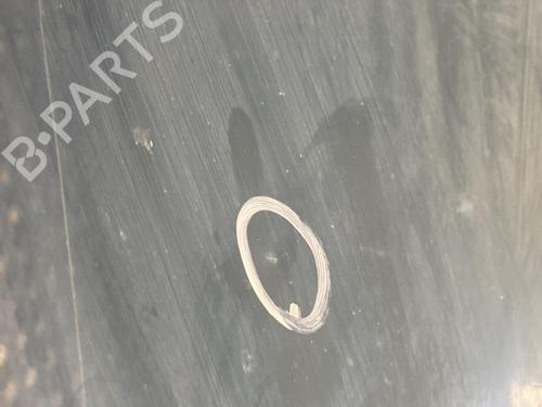 Used Hood RENAULT KANGOO / GRAND KANGOO II (KW0/1_) 1.5 dCi 70 (KW0V, KW0A) (68 hp) 20348691