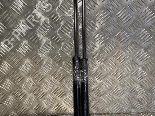 Used Tailgate lift support RENAULT CAPTUR II (HF_) TCe 160 (HFN1) (158 hp) 22094889