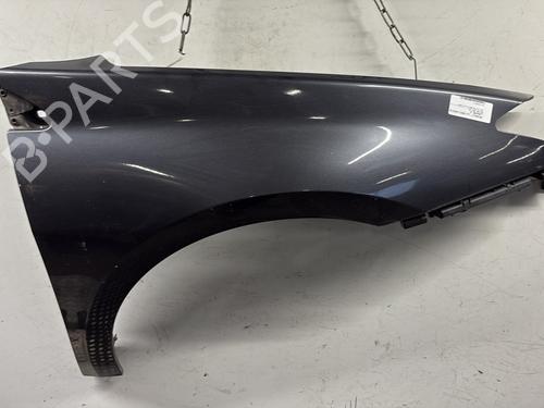 Used Right front fenders RENAULT LAGUNA III (BT0/1) 2.0 dCi (BT01, BT08, BT09, BT0E, BT0K, BT12, BT1C, BT1D,... (150 hp) 30129038