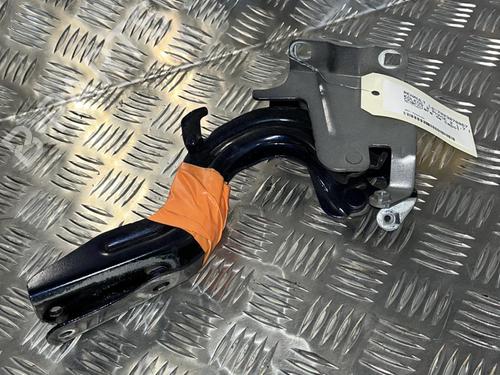 Used Hinge/Door check strap RENAULT KOLEOS II (HC_) 1.7 BLUE dCi 150 (HCA7) (150 hp) 22096111